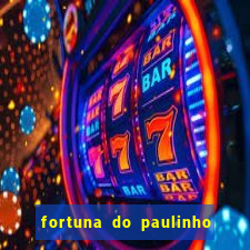 fortuna do paulinho do roupa nova